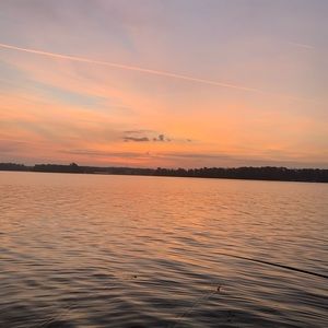 Meet your Posher, Connor